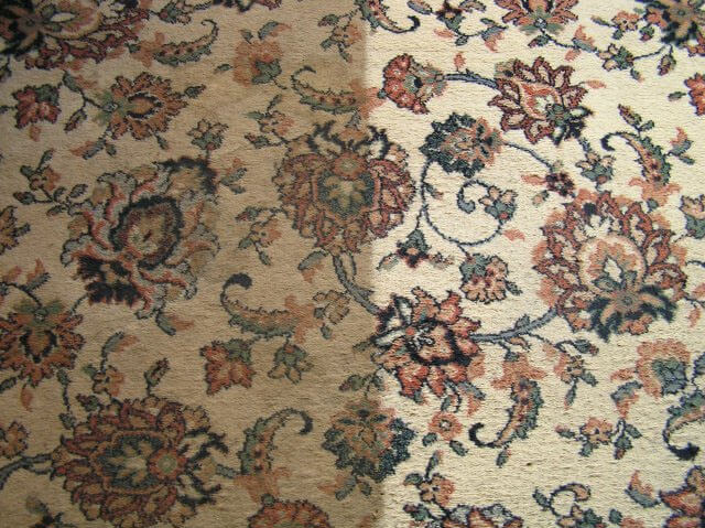 rug cleaning comparison