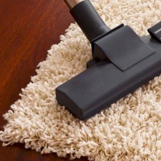 Why is Professional Carpet Cleaning Important?